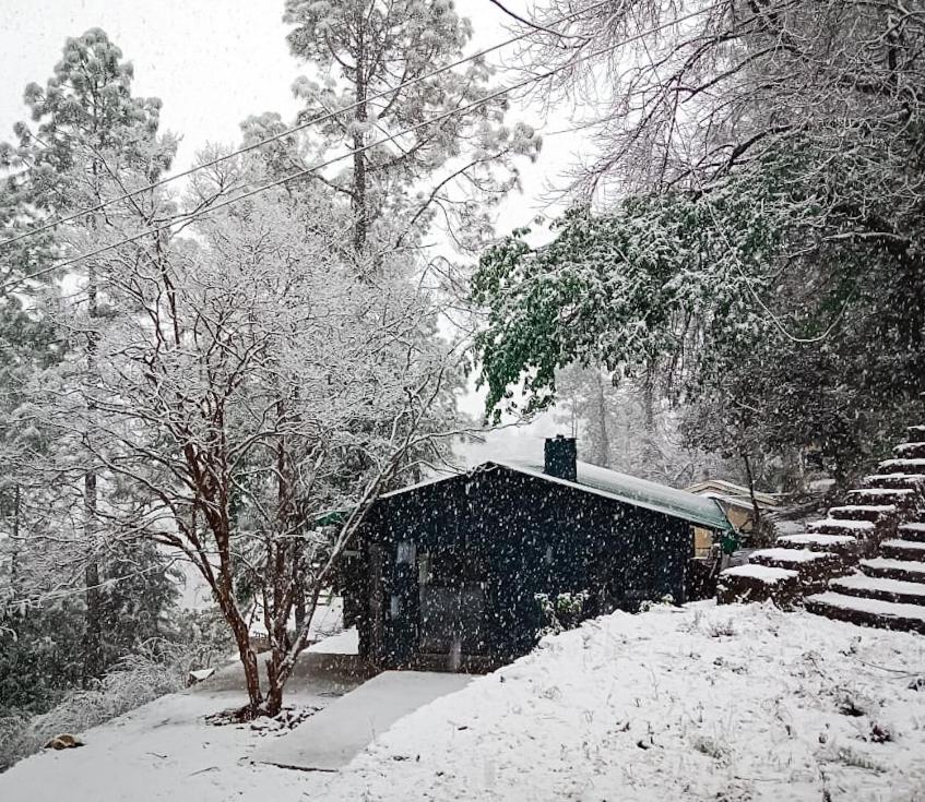 Mulberry House Hotel Almora Exterior photo